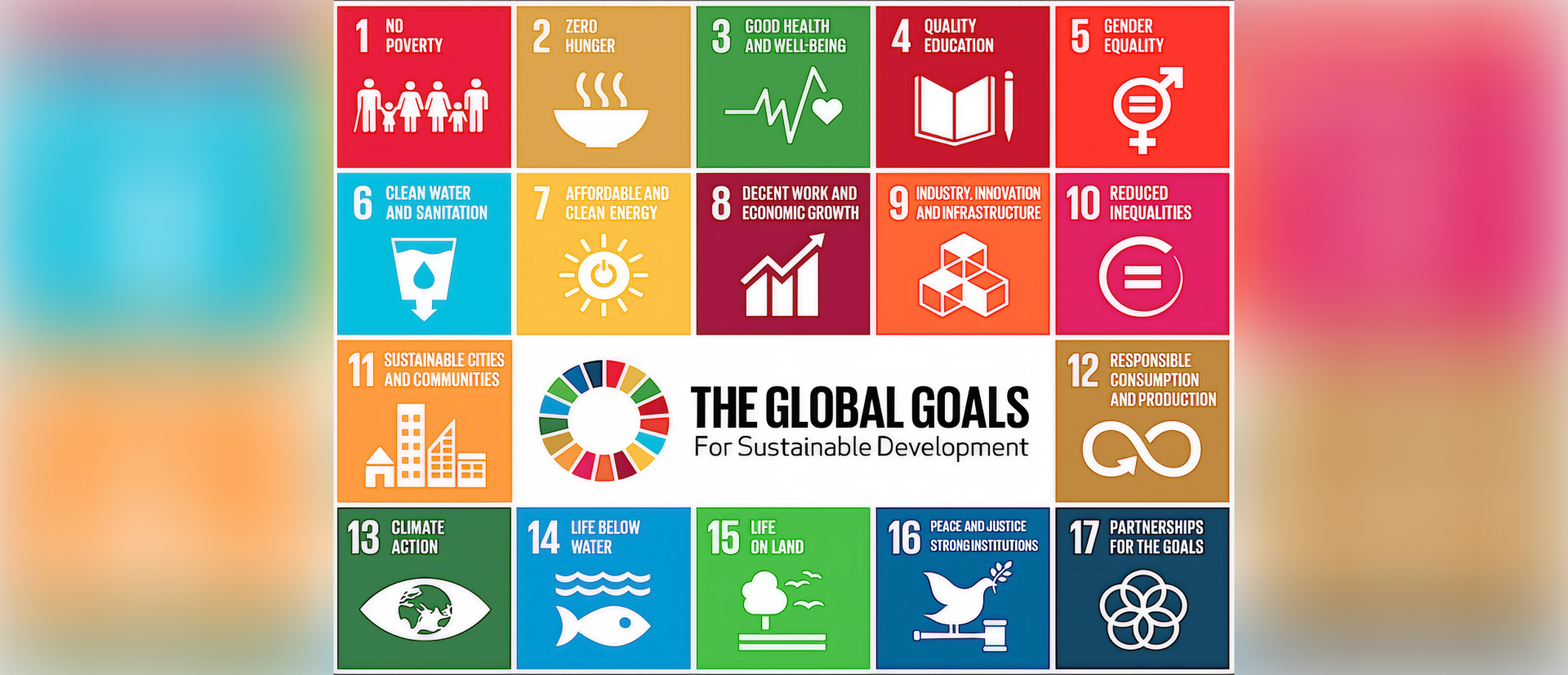 SDG banner